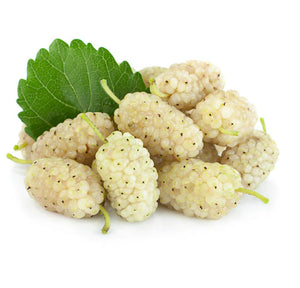 Lebanese White Mulberries (Toot) 950g — توت | Air-Flown