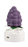 Dehua Grape Ice Cream Red Grape Juice Flavored Ice Cream 75g