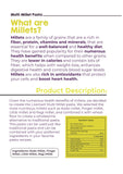Livsmart Multi Millet Penne Pasta 180g