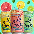 LaCroix Sparkling Water Variety Pack 355 ml, 24 pk. (Orange) - image 2