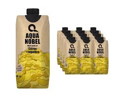Aqua Nobel Vitamin Infused Water with Taste of Lemon+ Ginger 500ml - Case of 12