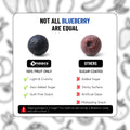 Snaacs Freeze Dried Blueberry 85g