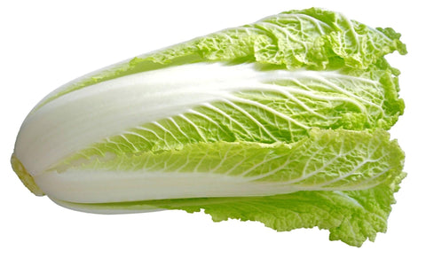 Chinese Cabbage - QualityFood