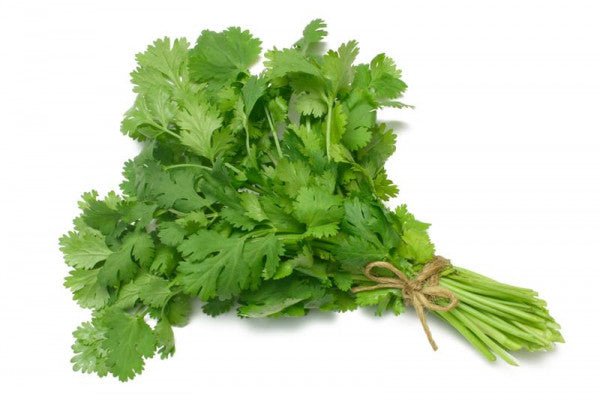 Coriander 100g - QualityFood