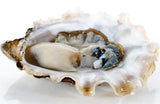 Dibba Bay Premium Oysters #1 (5 Pcs Pack ) - QualityFood