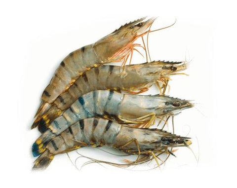 Flower Tiger Shrimp - Whole (Not Cleaned, Not Peeled) 500g - QualityFood