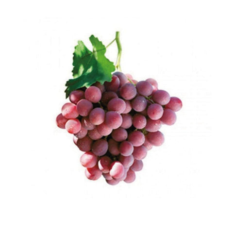 Grapes Red Globe 500g - QualityFood