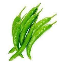 Green Chili India 500grm - QualityFood
