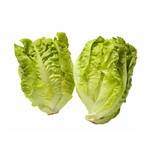 Lettuce Little Gem Green - QualityFood