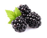 Meadows Freeze Dried Organic Blackberry Whole 40g - QualityFood