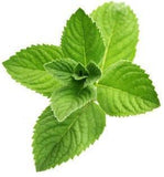 Herbs