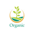 Organic Round Tomatoes 500g - QualityFood