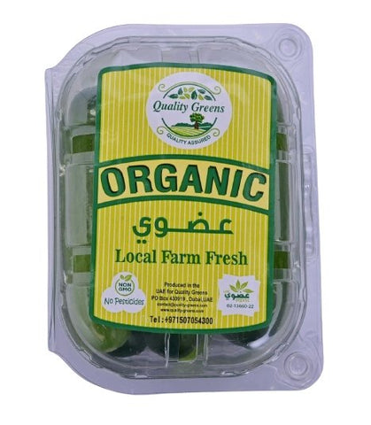 Organic snack Cucumber - Packet 250g - QualityFood