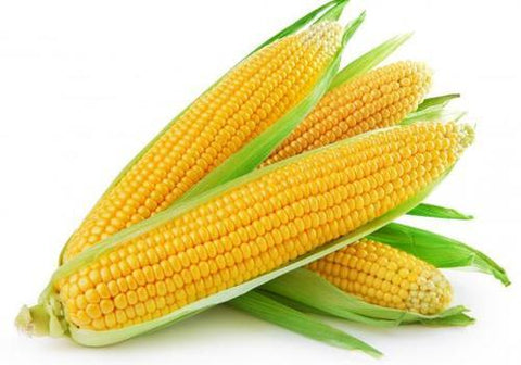 Organic Sweet Corn 500g - QualityFood
