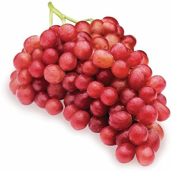 Red shop seedless grapes