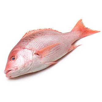 Red Snapper / Hamra / Chempalli whole cleaned 1kg - QualityFood