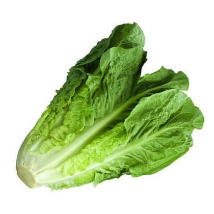 Romaine Lettuce 500g - QualityFood