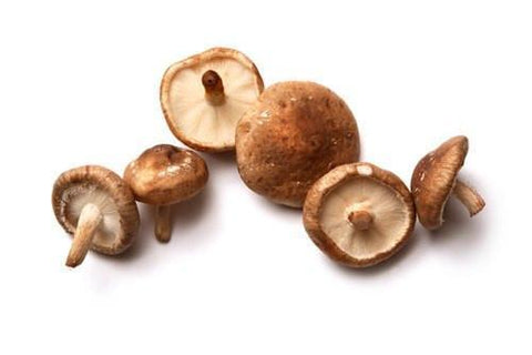 Shitake Mushroom - QualityFood