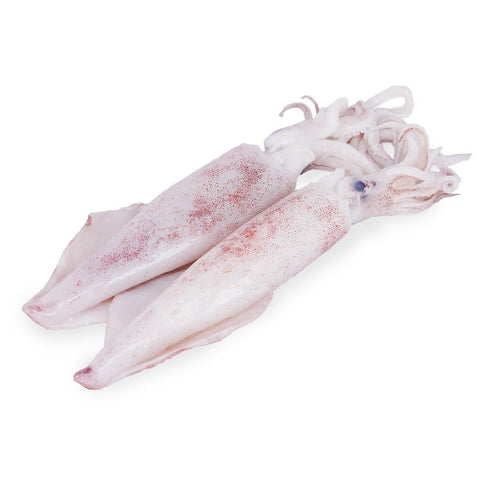 Squid / Koonthal (Cutter Fish) Cleaned 500g - QualityFood
