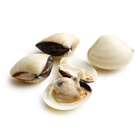 White Calms (Seafish shell) 500g - QualityFood