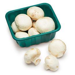 White Mushroom - QualityFood