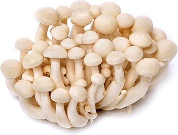 White Shimeji Mushroom - QualityFood