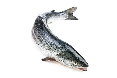 Whole Farm-Raised Salmon Cleaned 2Kg - QualityFood